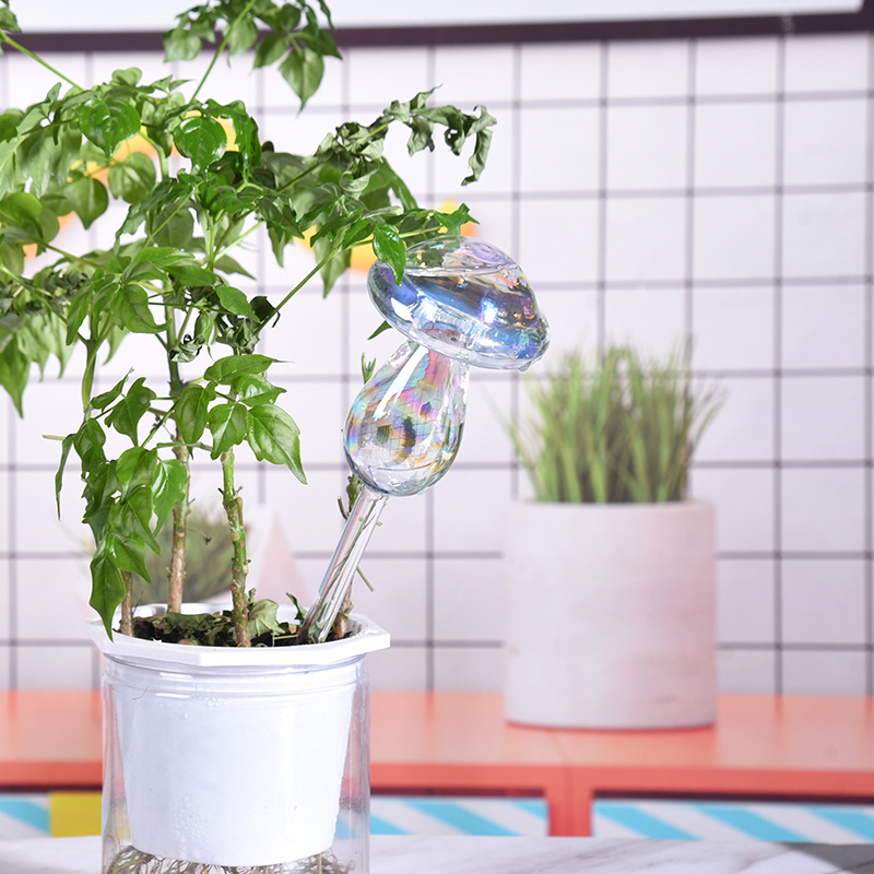 1/2 adet cam saman otomatik bi - Smart Garden Project incelemesi ve fiyatı